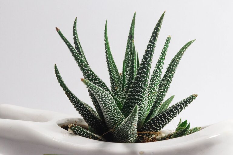 resized_20_api